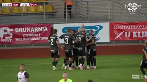 Pogoń Grodzisk Mazowiecki - Puszcza Niepołomice I Liga - skrót meczu