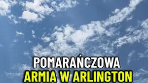 Robią wrażenie!!! Transmisja meczu holandia - japonia. Świata