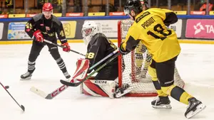 Rusza faza play-off TAURON Hokej Ligi. Mistrz kontra „Pasy” na otwarcie
