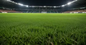 SC Freiburg - Borussia M'gladbach: Typy bukmacherskie