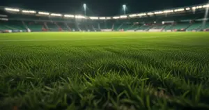 SC Heerenveen - PEC Zwolle: Typy bukmacherskie