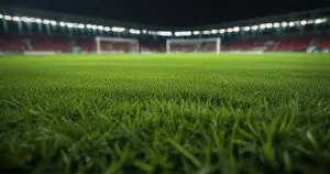 SC Paderborn 07 - VfL Wolfsburg: Typy bukmacherskie