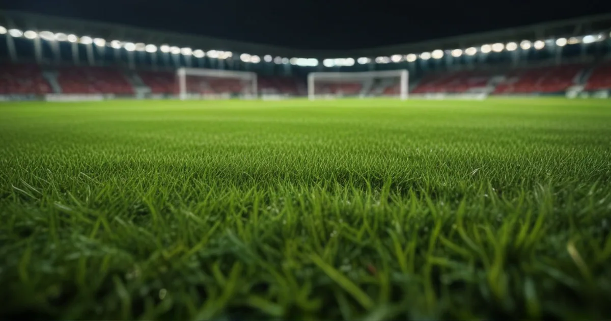 SC Paderborn 07 - VfL Wolfsburg: Typy bukmacherskie