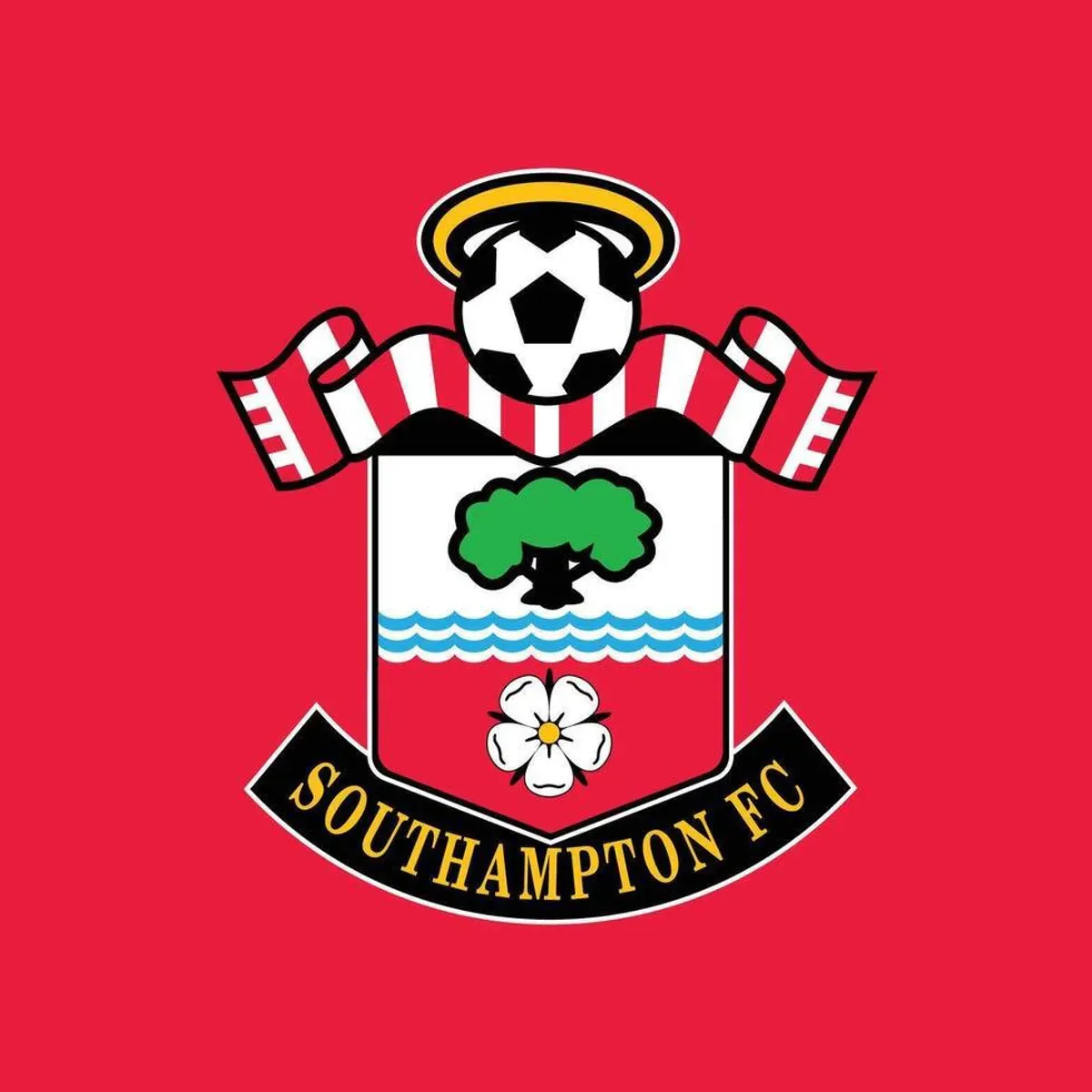 Skandal w Anglii. Southampton wyrzucone z baraży o Premier League