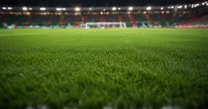 Stade Rennais - Nantes: Typy bukmacherskie