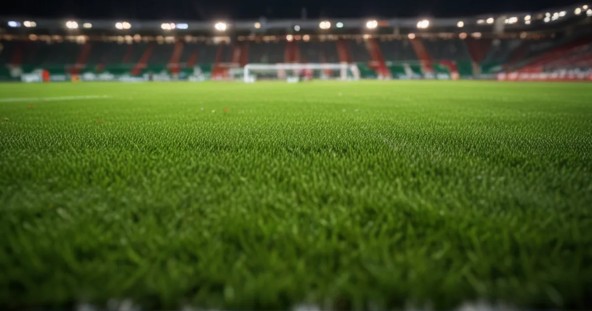 Stade Rennais - Nantes: Typy bukmacherskie