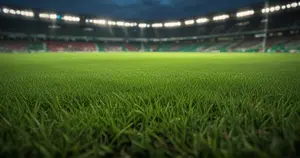 SV Werder Bremen - FC Augsburg: Typy bukmacherskie