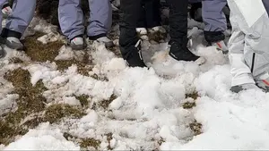 Świętowaliśmy medale Małysza. Świętowaliśmy medale Stocha. Świętujemy medal tomasiaka! My i nasi dwaj wielcy mistrzowie,