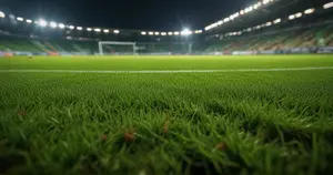 TSG Hoffenheim - FC St. Pauli: Typy bukmacherskie