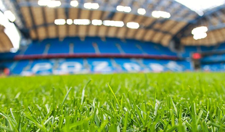 Lech Poznań. Wymiana murawy w niedługim czasie (foto: Lechpoznan.pl)