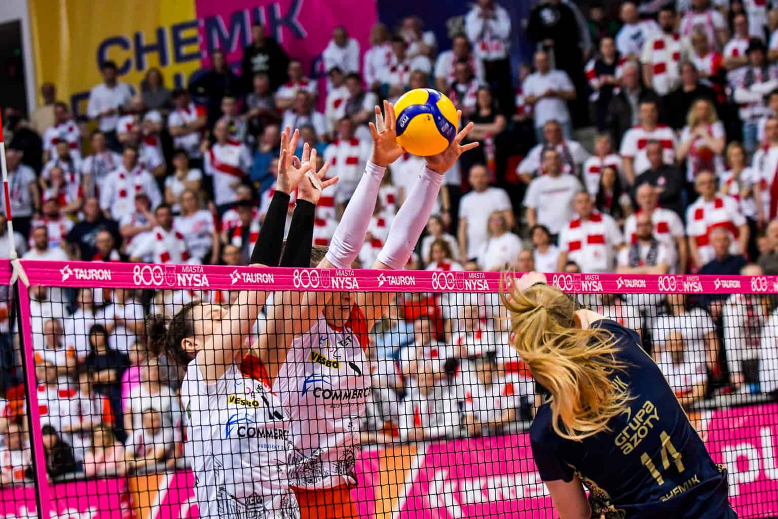 TAURON Puchar Polski Kobiet 2023/2024: Drabinka rozgrywek wylosowana