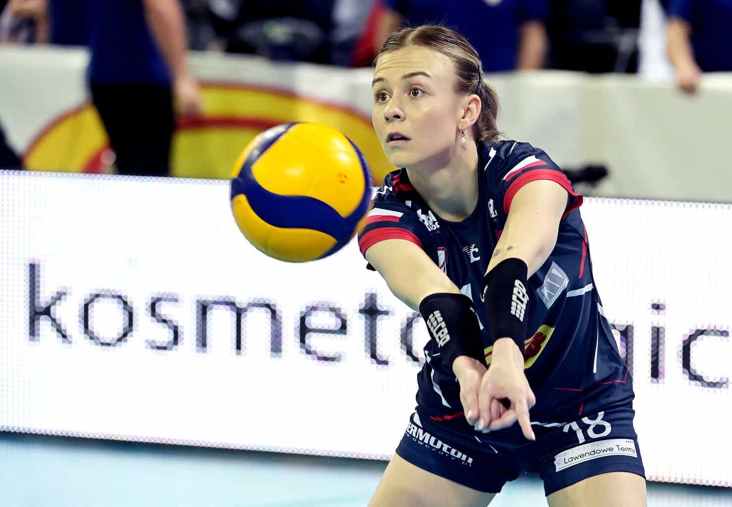 TAURON Liga: Kursy i typy na 4. kolejkę! Gdzie oglądać? [17-22 października 2024]