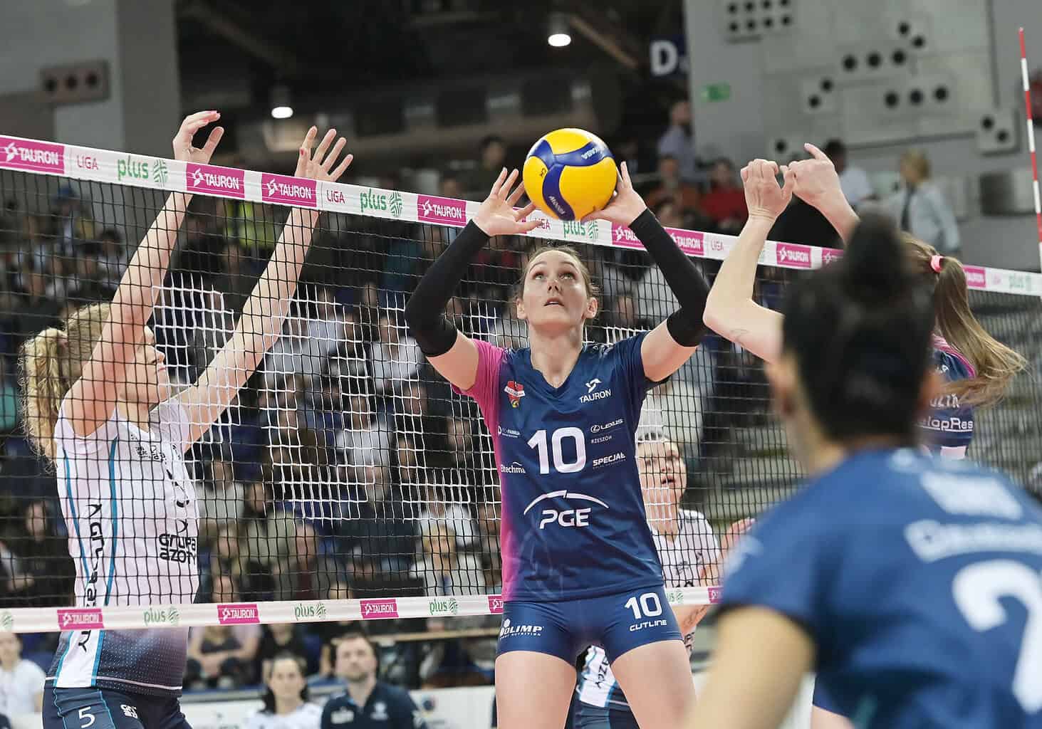 Pałac Bydgoszcz - DevelopRes Rzeszów: Typy, Kursy, Zapowiedź! Gdzie oglądać? [TAURON Liga, 19.10.2024]
