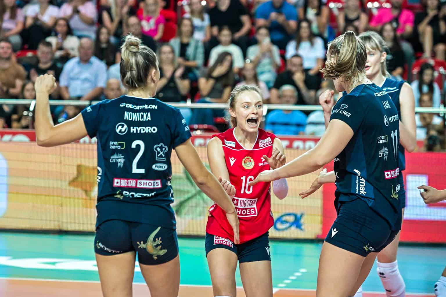 BKS Bielsko-Biała – DevelopRes Rzeszów: Typy, Kursy, Zapowiedź! Gdzie oglądać? [TAURON Liga, 05.01.2025]