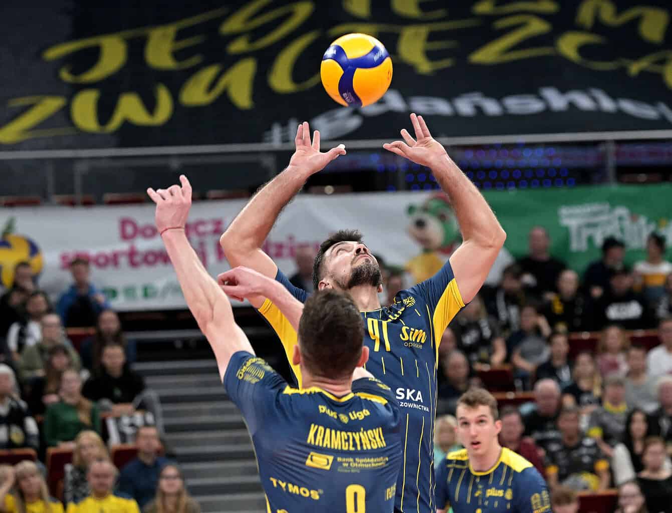Stal Nysa - Resovia Rzeszów: Typy, Kursy, Zapowiedź! Gdzie oglądać? [PlusLiga, 15.12.2024]
