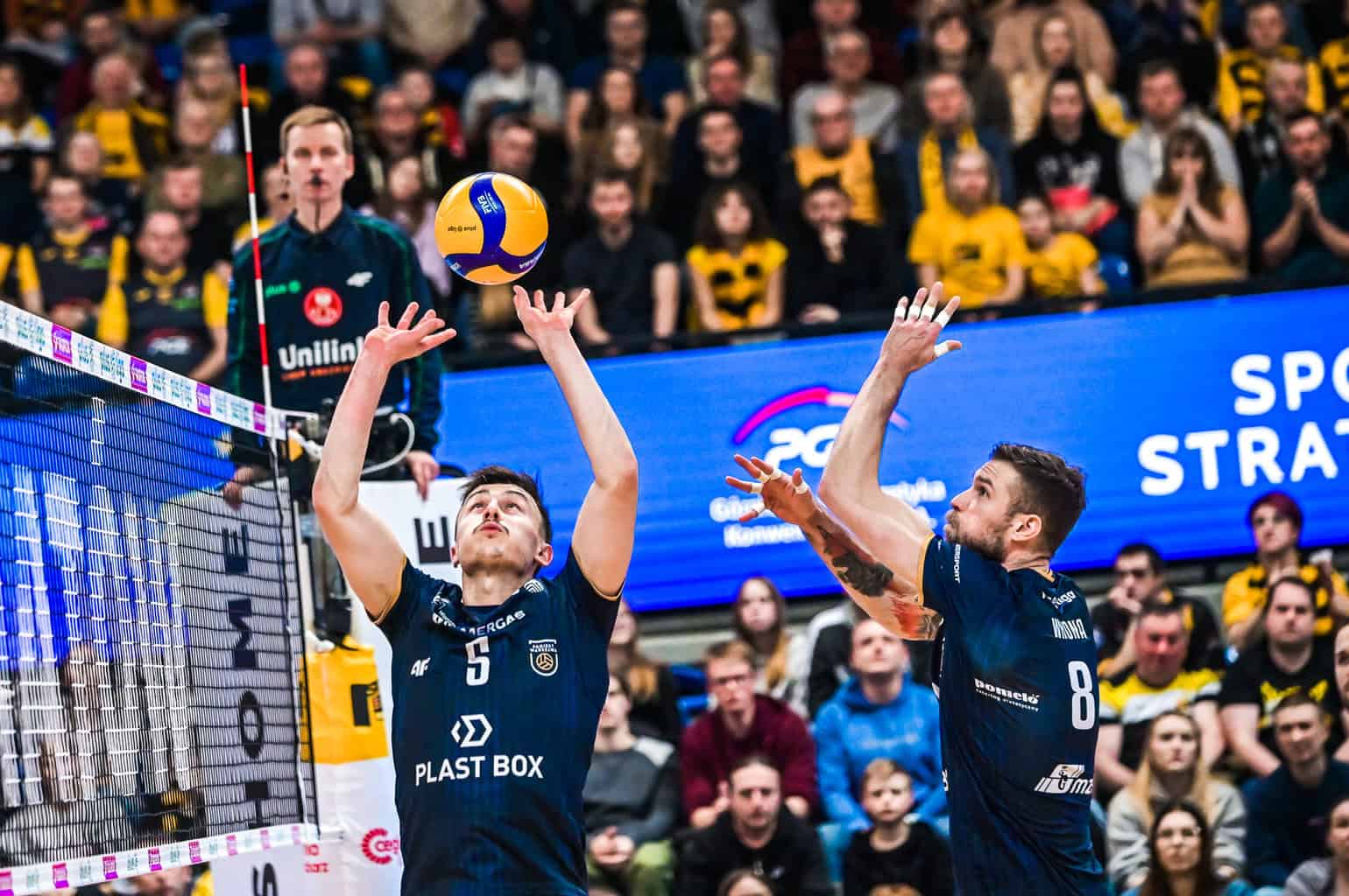 Resovia Rzeszów – Projekt Warszawa: Typy, Kursy, Zapowiedź! Gdzie oglądać? [PlusLiga, 25.01.2025]