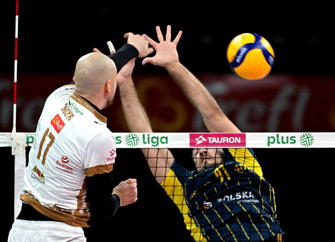 Stal Nysa - Trefl Gdańsk: Typy, Kursy, Zapowiedź! Gdzie oglądać? [PlusLiga, 24.01.2025]