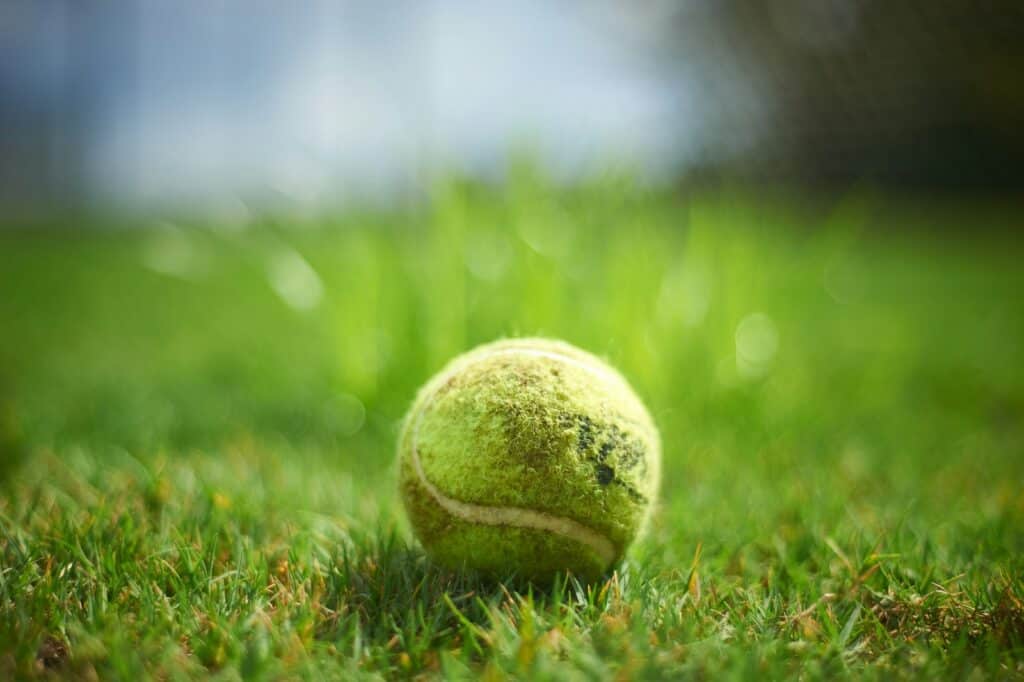 Fabio Fognini - Carlos Alcaraz: analiza, typy (Wimbledon, 30.06.2025)