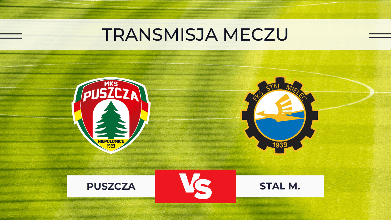 Puszcza Niepołomice – Stal Mielec za darmo: Gdzie oglądać? Transmisja 3.11.2025