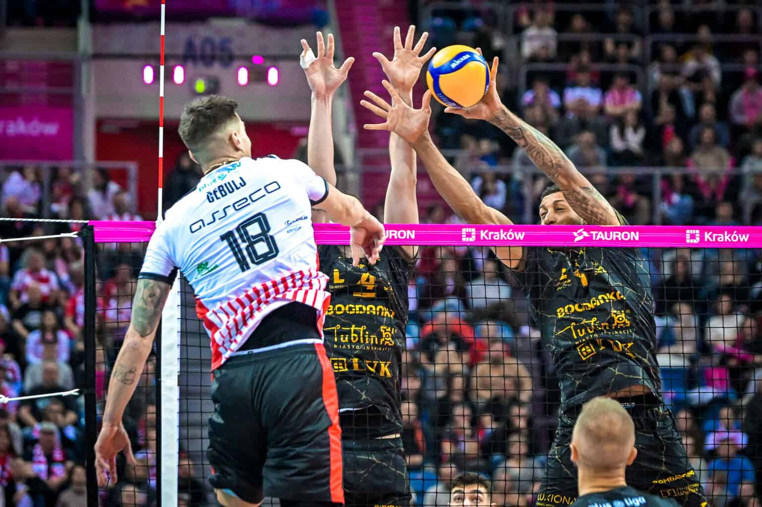 Resovia Rzeszów – LUK Lublin transmisja na żywo: Gdzie oglądać mecz dzisiaj w Internecie i TV? (01.02.2026) [PlusLiga]